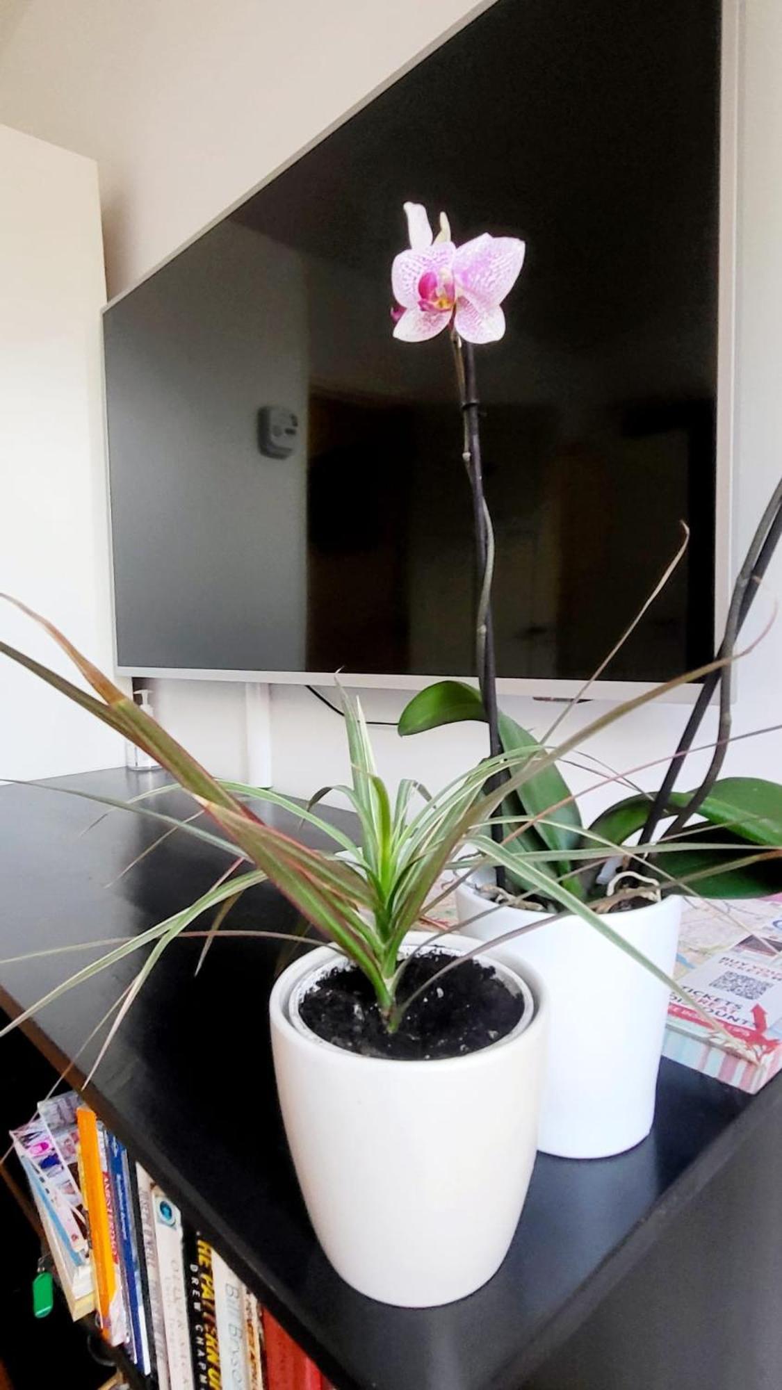 Velvetamsterdam Apartment Ngoại thất bức ảnh
